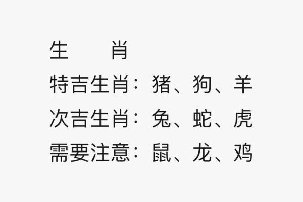 49虚岁的人命运解析：如何解读你的生肖与五行属性