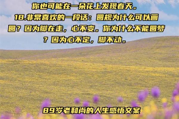 探索和尚之命：精神的沉淀与人生的解读