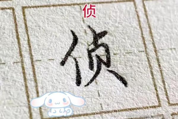 19980423出生的人：命运如何书写人生的篇章？