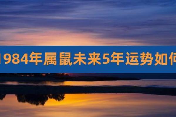 1984年丑时鼠的命运与人生解析：如何把握机遇与挑战