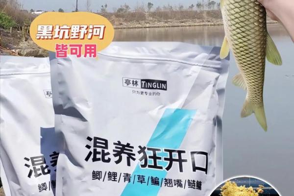 水命与金命的鱼类养殖：如何选择适合的鱼种？