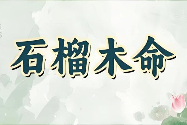 石榴木命男与理想命女的完美配对指南