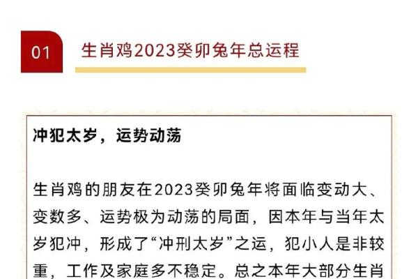 解密2023:兔年命运与人生智慧的交汇点 解密2023:兔年命运与人生智慧的交汇点