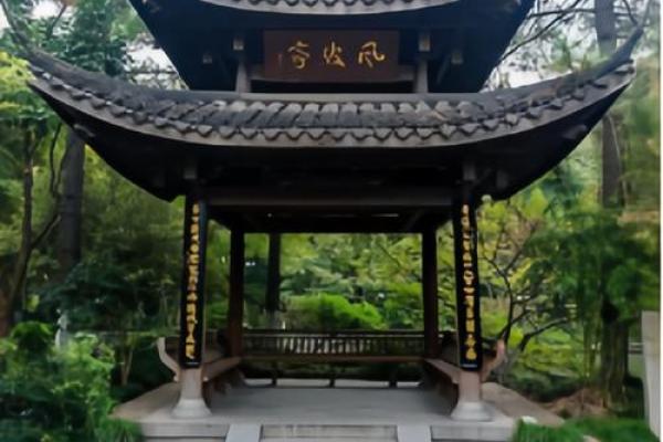 乙木男命的命理分析：探寻其性格特征与人生运势