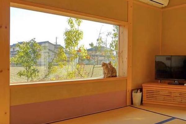 命理与居住环境的完美契合：选择适合你的房子