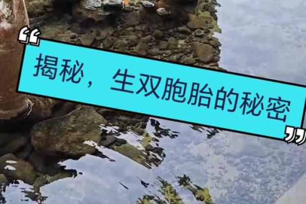 2000年出生的命运解析：揭秘人生的秘密密码