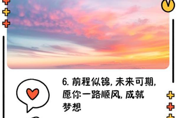 1981属猪人的命运解析：乐观与顺遂的人生旅程