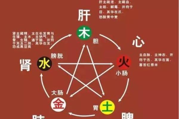 探秘命理学：解析五行与八字对人生的深刻影响