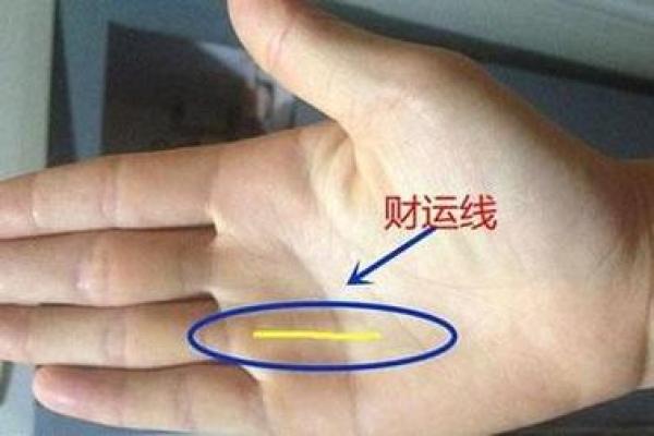 探秘“财运”与“命运”的奥秘：提升你的生活质量