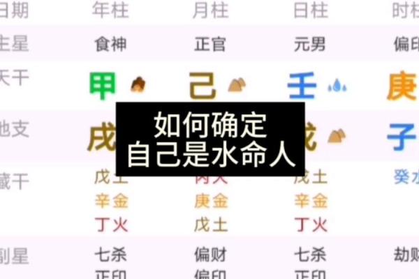 探索1951年出生的兔子命格：木命与水命的精彩人生