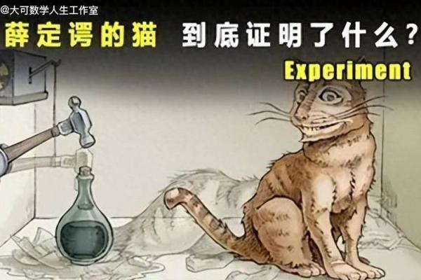 狗属土命，猫的命理解析：揭示猫的命运与个性之谜