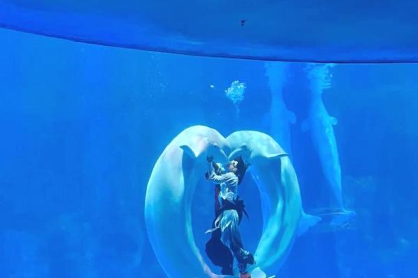 在成语的海洋中，探索命运的奇妙之旅