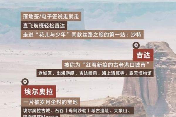 尾巴有力的人是什么命：揭开命运的神秘面纱