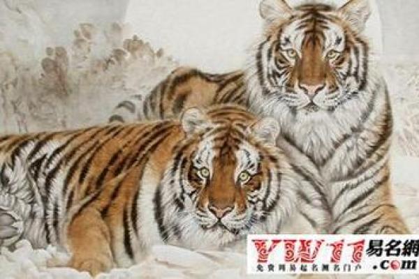 1986年出生的老虎，命运与个性解析