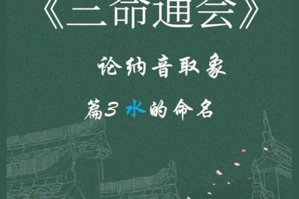 什么命就是什么命：探寻命运背后的故事与智慧