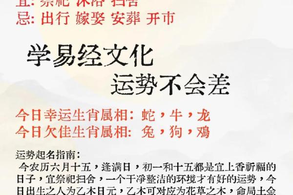 木命人的最佳命运：如何提升运势与生活质量