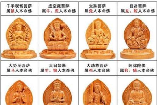 生肖马:硬命与软命的运势解析及生活志向 生肖马:硬命与软命的运势解析及生活志向