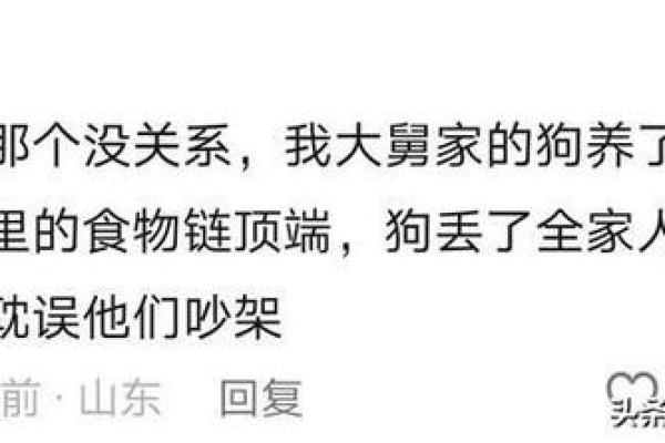 火命与金命之人的宠物选择：适合养什么动物？