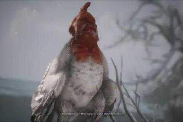 堵命水鬼:水下搬运的重要角色与神秘任务 堵命水鬼:水下搬运的重要角色与神秘任务