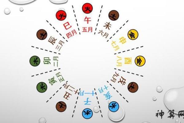 探秘2019年：属于“土命”的生肖与命理分析