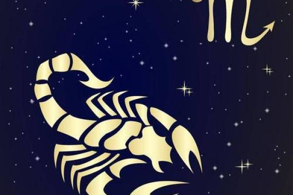 解码19950628：揭示其背后的命理与人生潜能