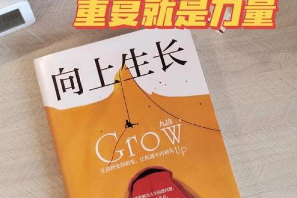 解读1987.1.2的命理奥秘，揭示人生潜力与方向