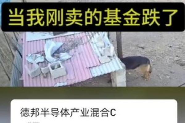 四两九命：揭秘命主发财之道与财富秘诀