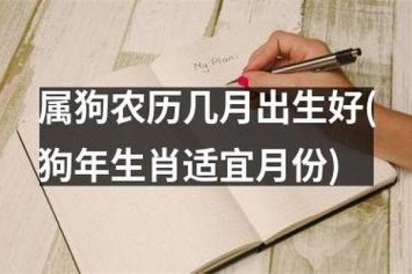 狗年出生的人：揭秘属狗之命的性格与命运运程