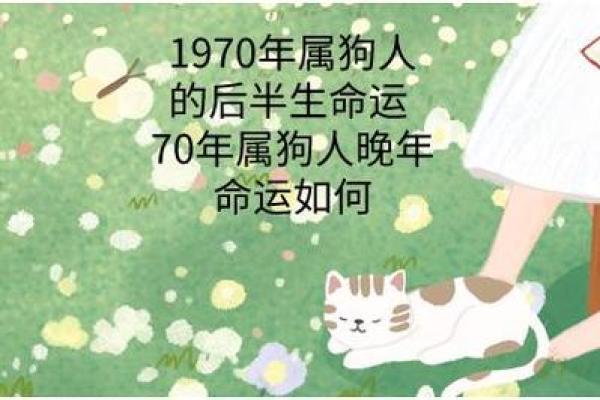 狗年出生的人：揭秘属狗之命的性格与命运运程
