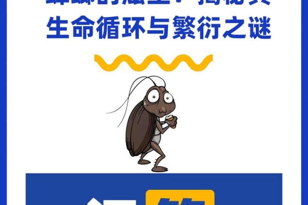 根据时辰查命理：揭开生命之谜的时间密码