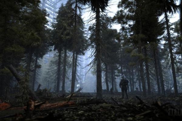 19901113：探索这个日期背后的命运密码