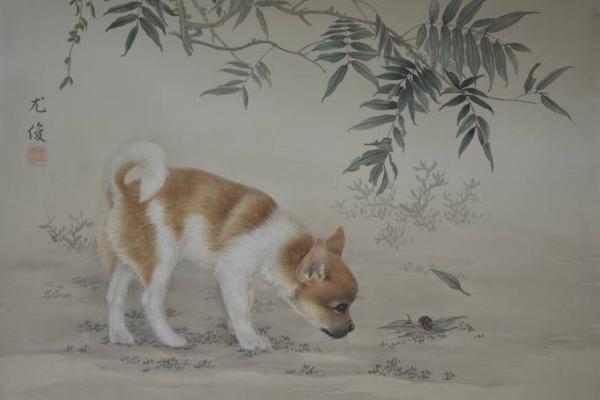 属狗腊月十五出生的人命运解析:性格、事业与家庭幸福探秘 属狗腊月十五出生的人命运解析:性格、事业与家庭幸福探秘