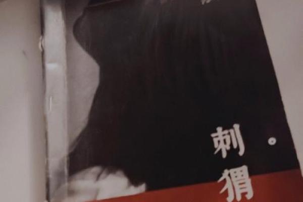 《命换之术:黑暗中的交易与救赎》 《命换之术:黑暗中的交易与救赎》