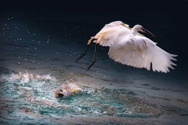 2018金马奖：光影盛典背后的那些秘密与细节