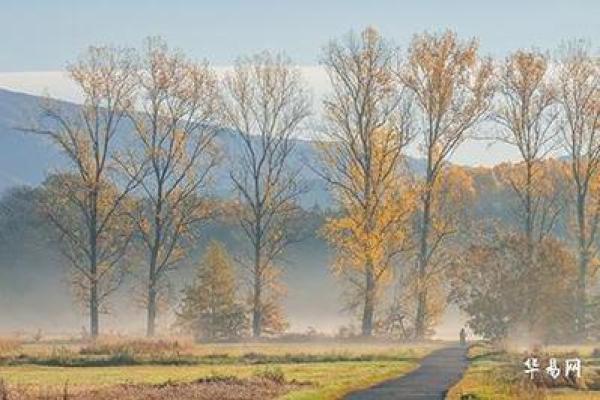 适合居住在河边的命理分析与生活启示