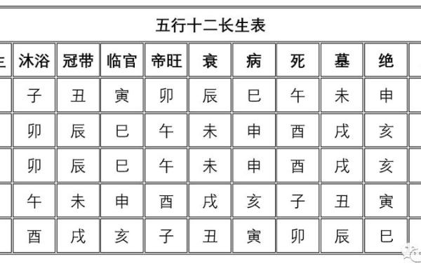 1991年金羊命:命理解析与五行缺失之道 1991年金羊命:命理解析与五行缺失之道