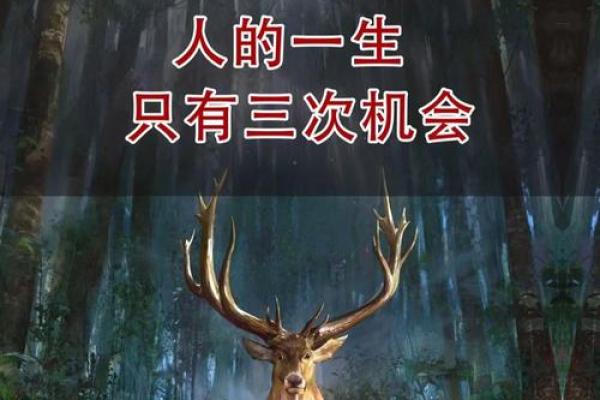 1987腊月十八：命运与人生的深刻启示