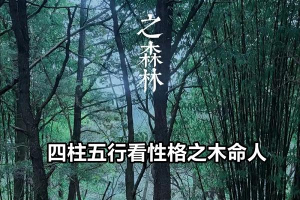 木命人与哪些命人最适合结婚？揭开相生之道的谜底！