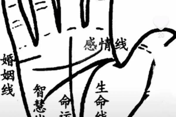 通过手相揭示你未来的命运，解读生命之掌的奥秘