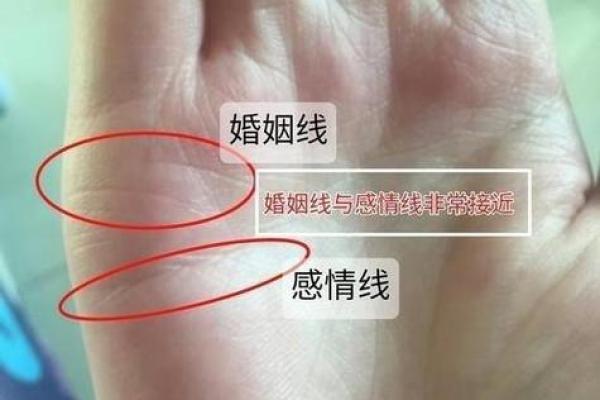 通过手相解读命运:揭示生命的玄机与机会 通过手相解读命运:揭示生命的玄机与机会