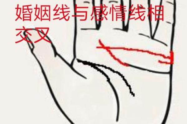 通过手相解读命运:揭示生命的玄机与机会 通过手相解读命运:揭示生命的玄机与机会