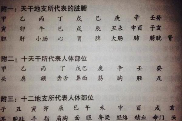 命理解析：如何通过五行补全你的命名短板