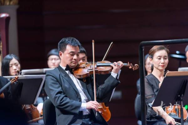 感情淡薄者的命运:孤独与自由的交响乐 感情淡薄者的命运:孤独与自由的交响乐