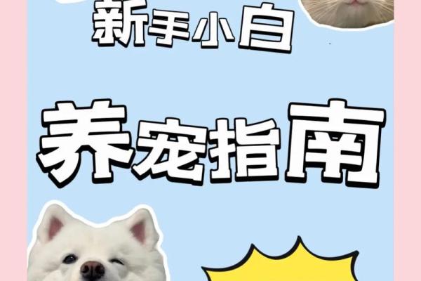 水命与土命人士适合养的宠物推荐指南 水命与土命人士适合养的宠物推荐指南