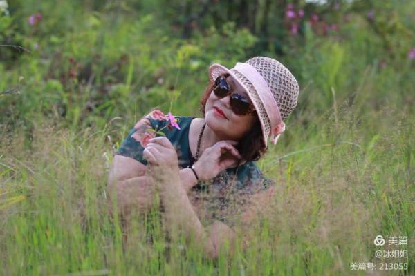 探索九命：生命的轮回与灵魂的旅程