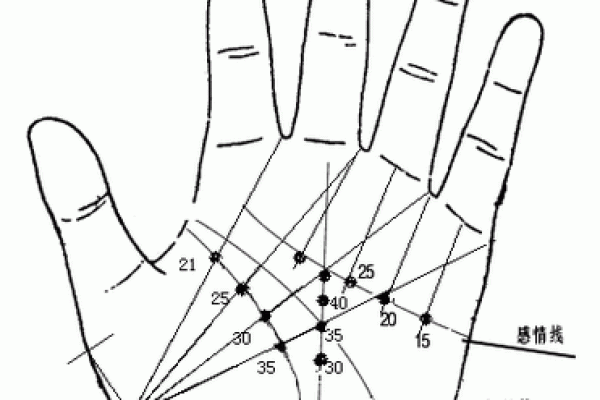 2022流年命运解析：如何在变化中掌握自己的生活轨迹