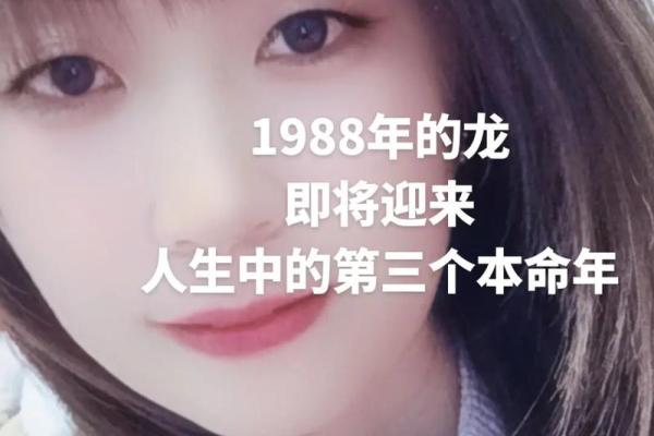1987年出生的命运分析与人生方向探讨