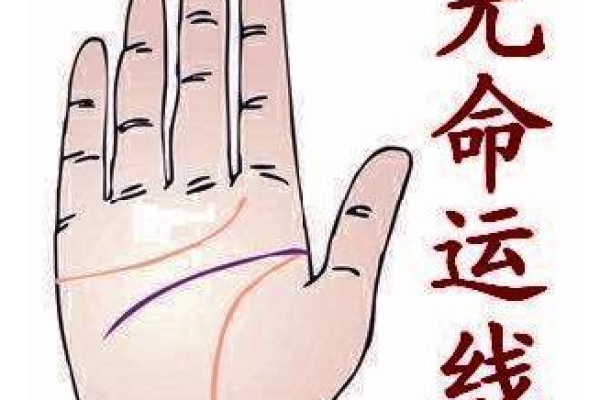 当命运的线被拉长,生活的色彩如何焕发新生? 当命运的线被拉长,生活的色彩如何焕发新生?