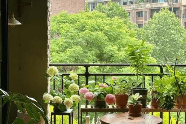 探寻女人婚姻命格的奥秘，揭示幸福的真谛