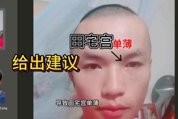 才子命的眉毛特征:从面相看你的命运与智慧 才子命的眉毛特征:从面相看你的命运与智慧